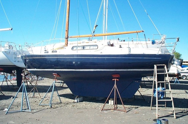 Image5