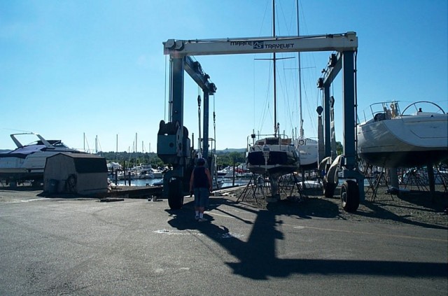 Image7