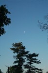 Morning Moon