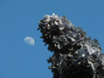 Lilac Moon