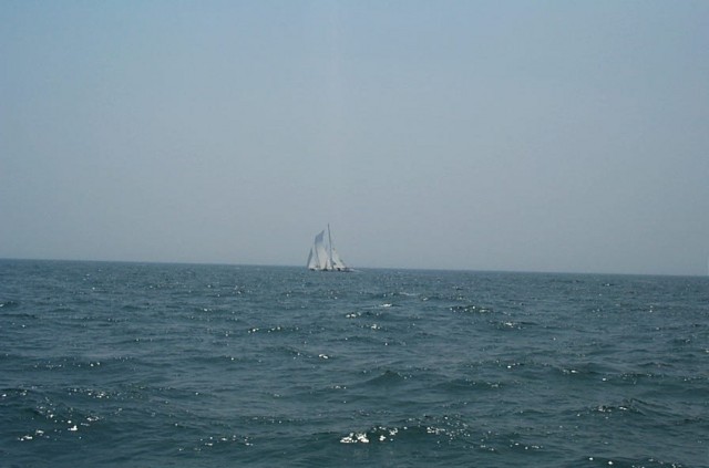 Image37