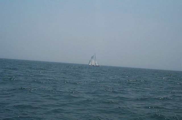 Image38