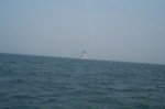 Image38