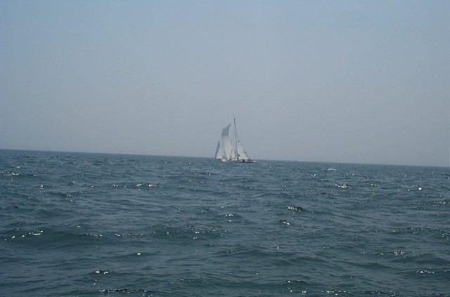 Image40