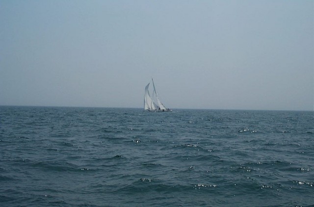 Image41