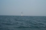 Image41