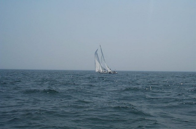 Image44