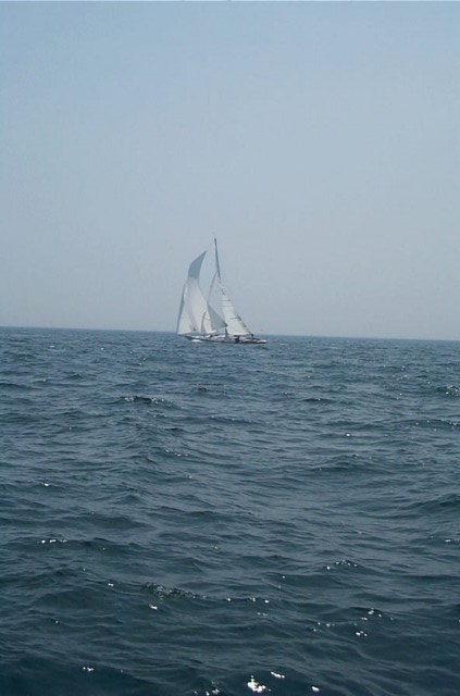 Image45
