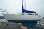 Image2