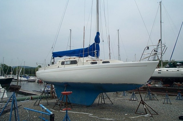 Image4