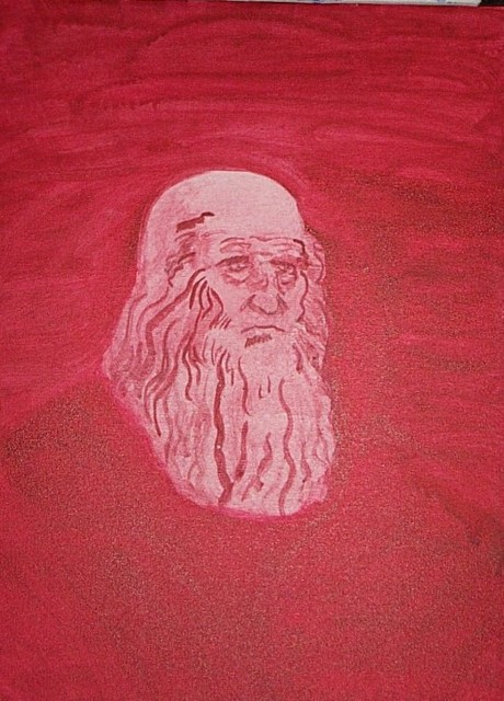 DaVinci1